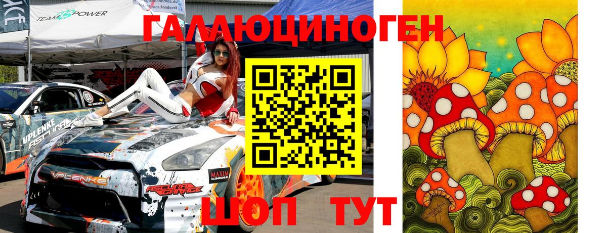 Бийск  Псилоцибиновые грибы Psilocybine cubensis  Вход с VPN 